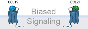 Biased signaling