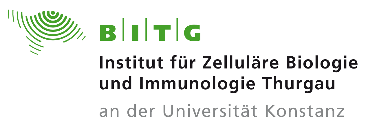 BITG-Logo